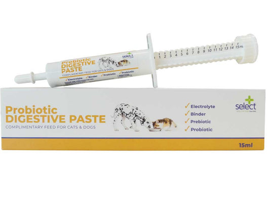 Probiotic Paste