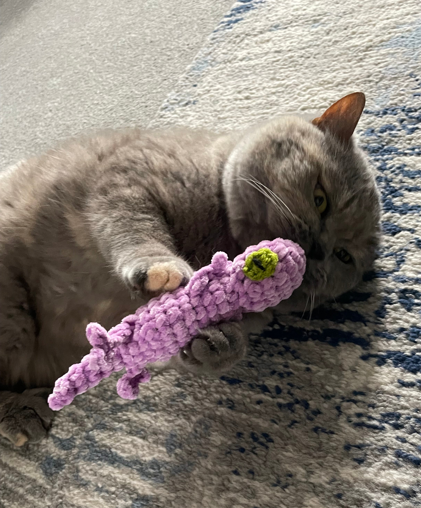 Catnip Lizard