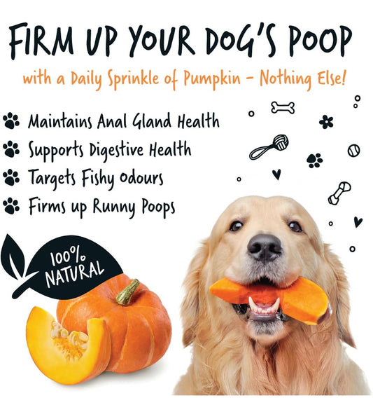 Pumpkin Powder