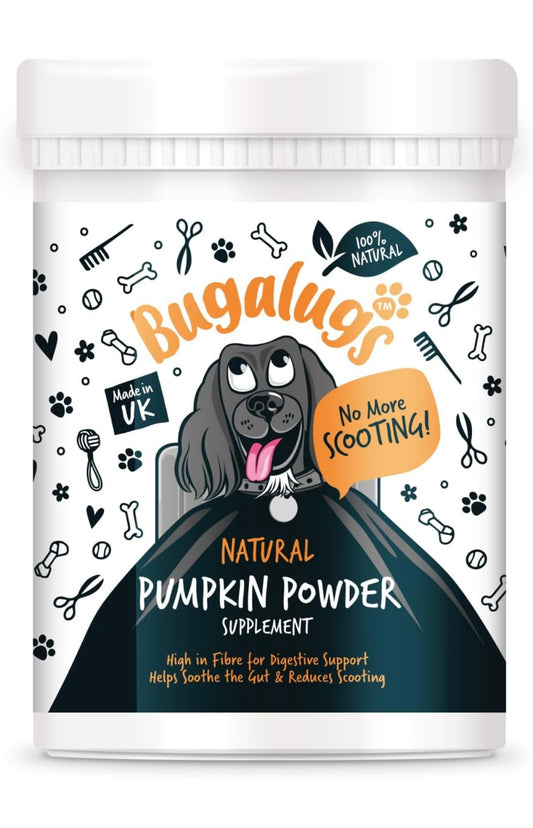 Pumpkin Powder