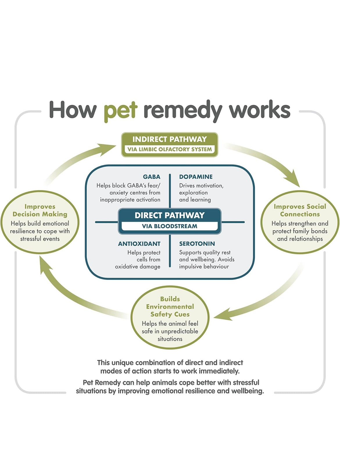 Pet Remedy Plug in
