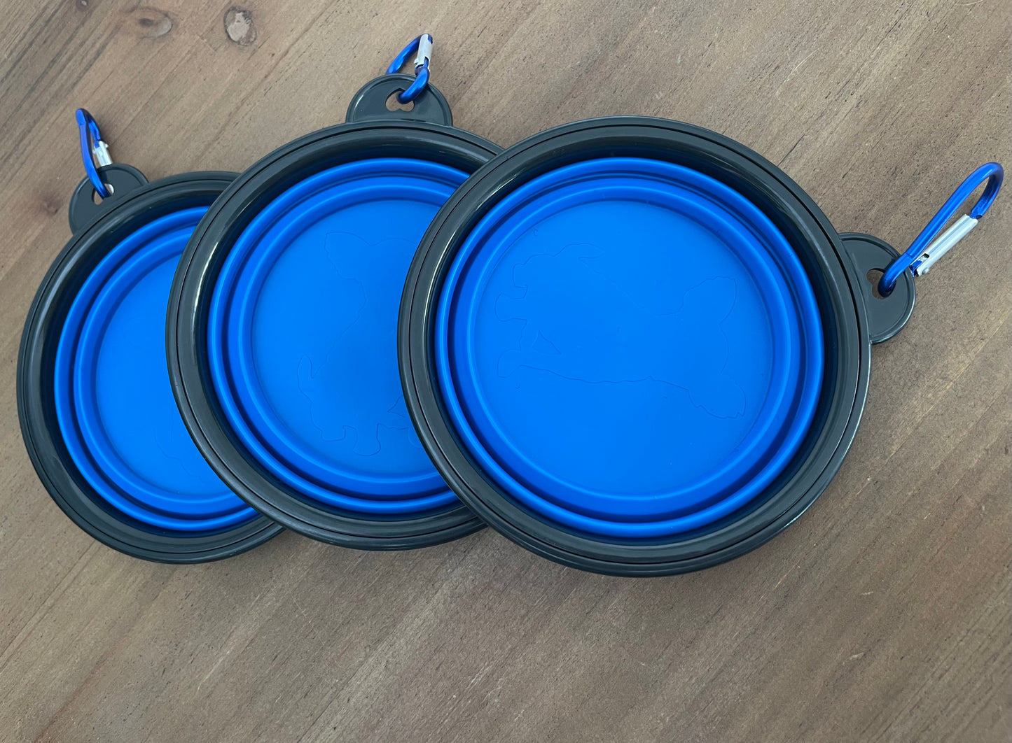 Travel dog bowl