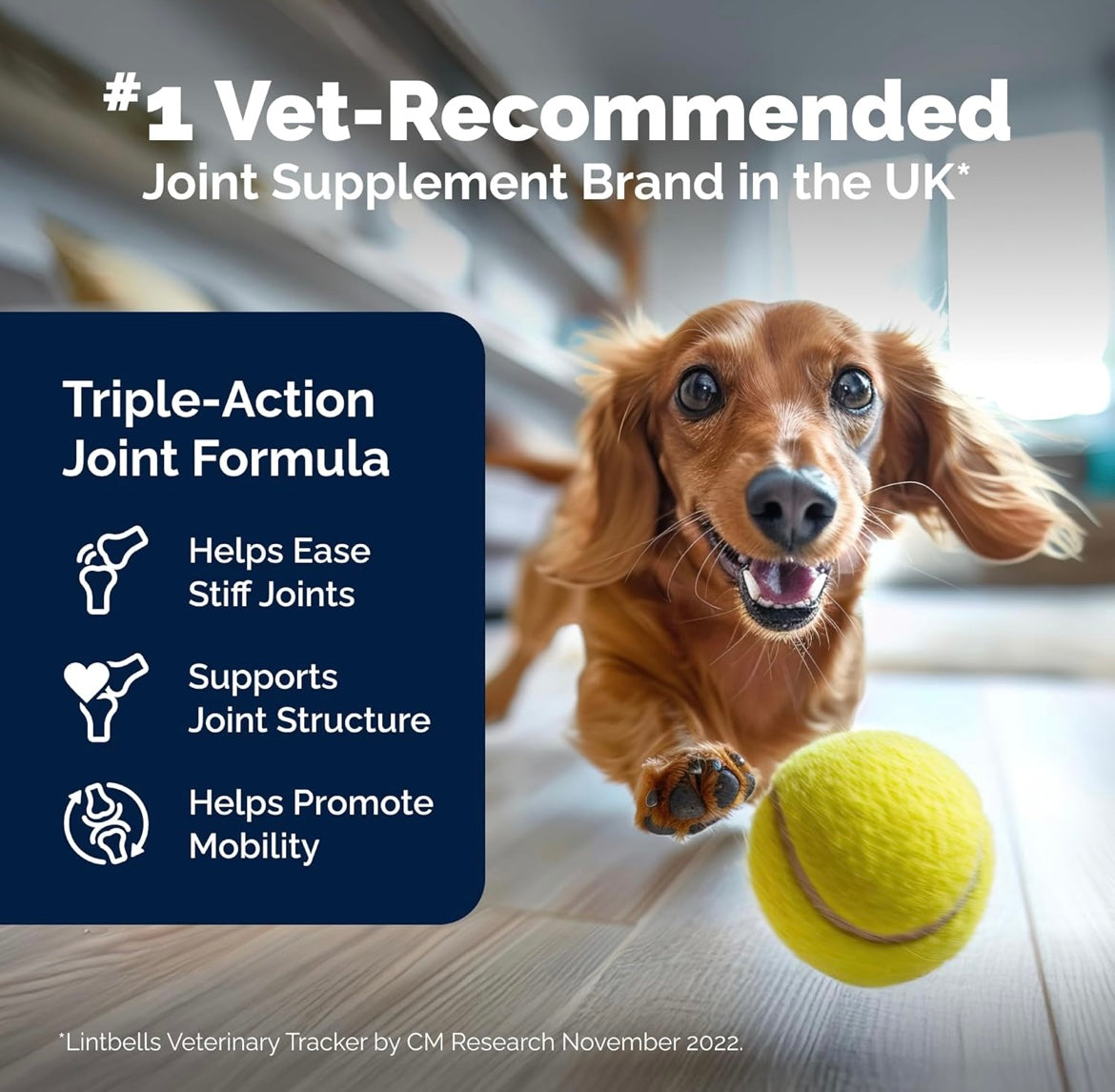 Yumove Joint Care