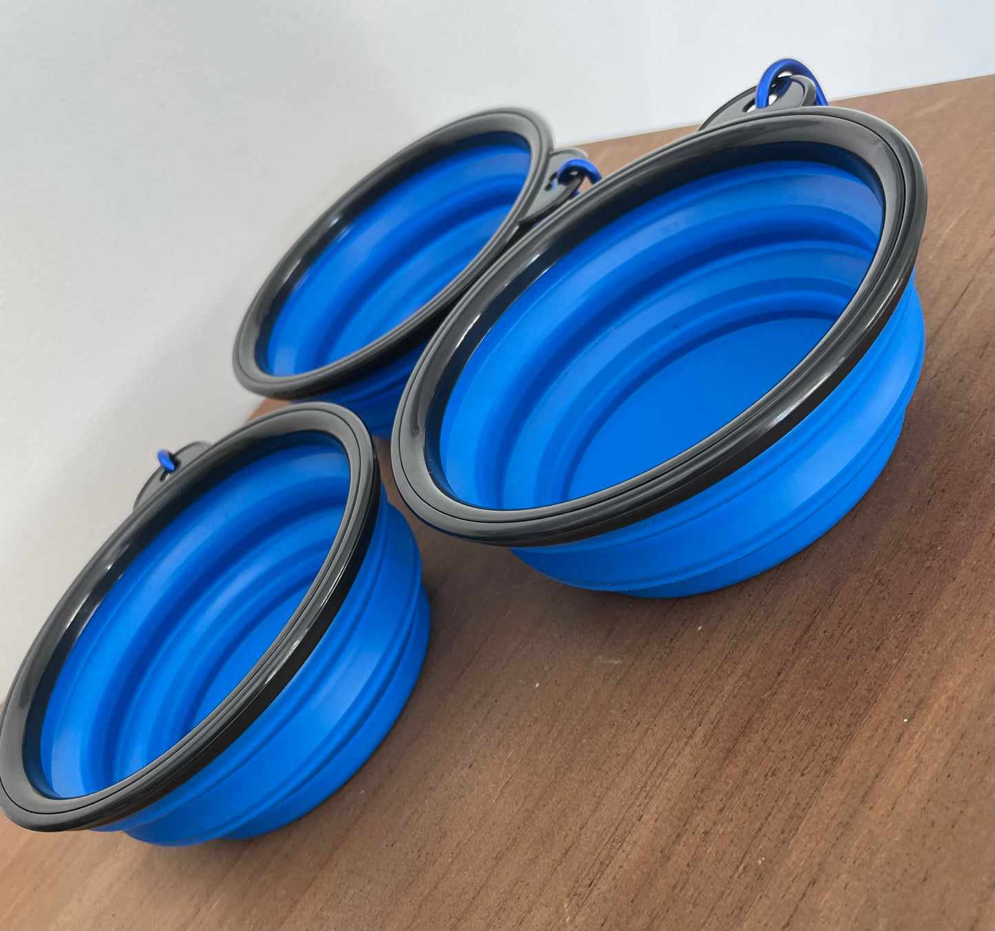 Travel dog bowl